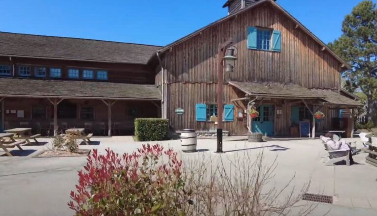 Davy Crockett Hotel 5 768x440