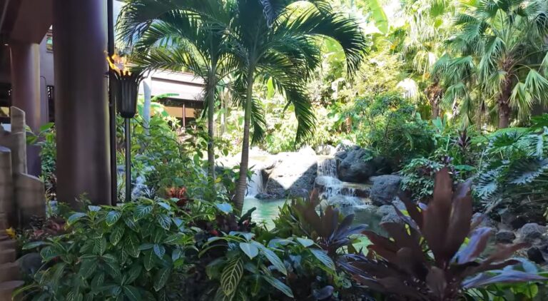 Polynesian Hotel WDW 3 768x422