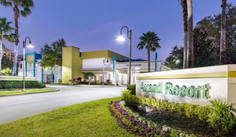 avanti international 5 768x446