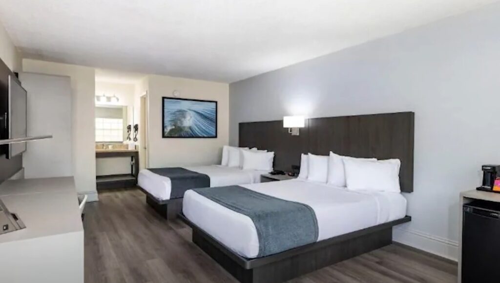 avanti international 6 1024x579