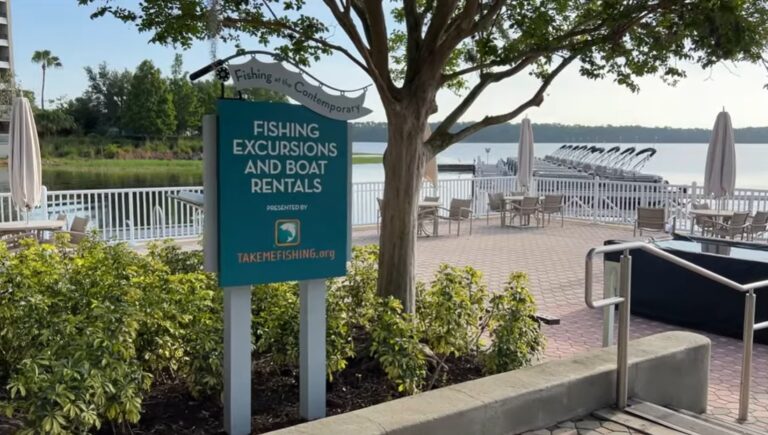 Contemporary 6 768x435