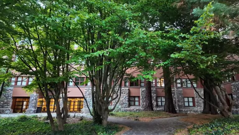 disney sequoia lodge 2 768x433