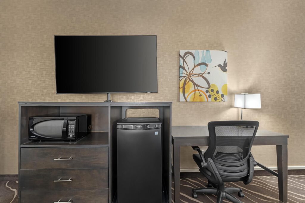 w3837h2557x3y3 bad0bae4 1024x682