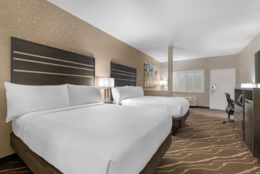 w3837h2560x3y0 0c758d5d 1024x683