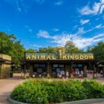 Animal Kingdom for UK visitors
